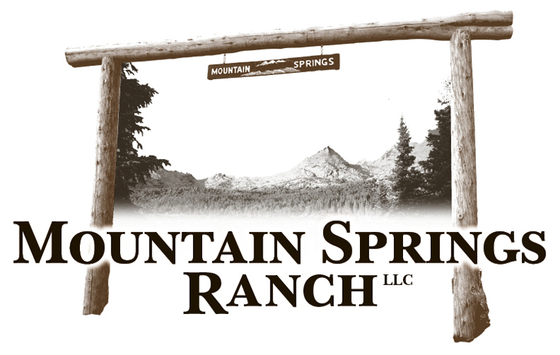 Mtn Springs Logo